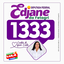Marca da campanha Edjane da Fetagri, número 1333
